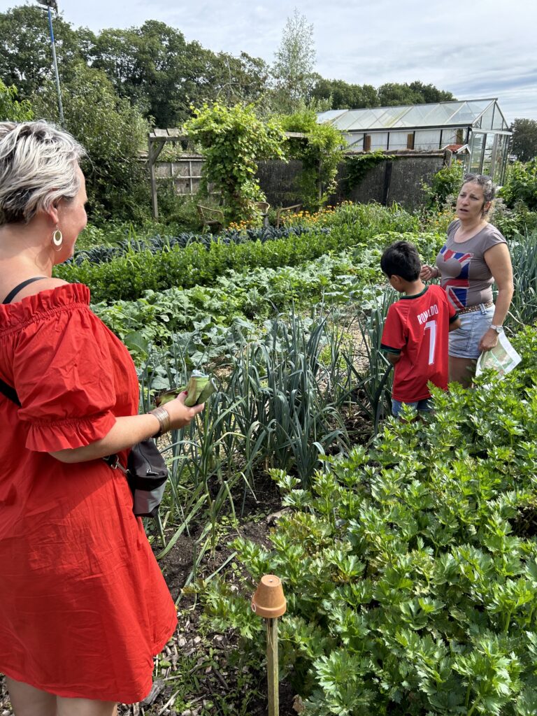 Onwetende stadswezen wordt zen wortelplukker community tuin bergen op zoom